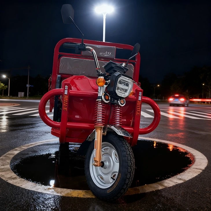 Tricycle de fret électrique commercial