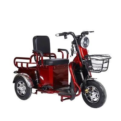 Tricycle cargo électrique utilitaire