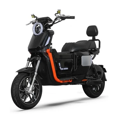 Moto électrique adulte